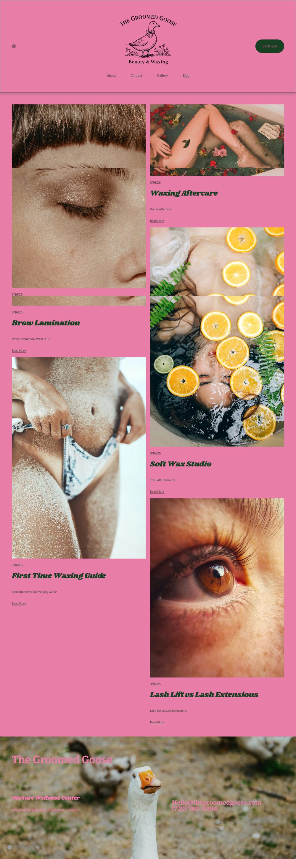 The Groomed Goose blog before: stock photos and one-line post titles